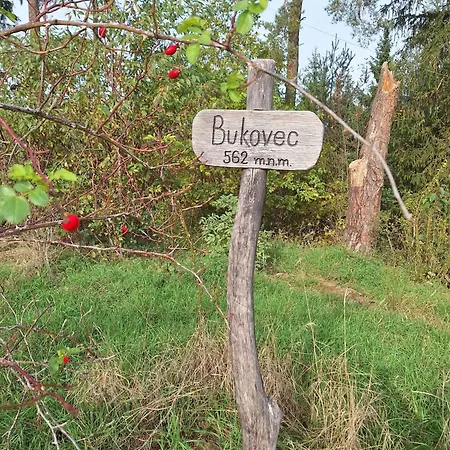Gasthuis U Svarcu Zduchovice