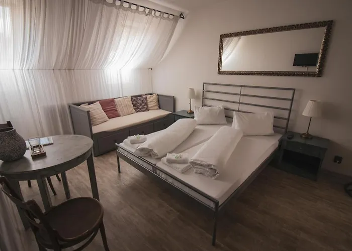 Guest house U Svarcu