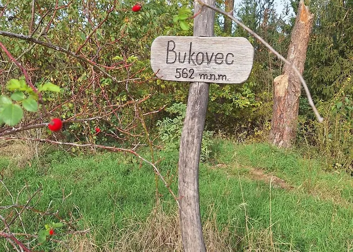 Guest house U Svarcu Zduchovice